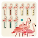 FLAMENCOS