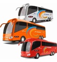 ROM BUS EXCLUSIVE