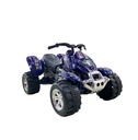MINI CUATRI 