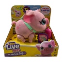 MY PET PIG