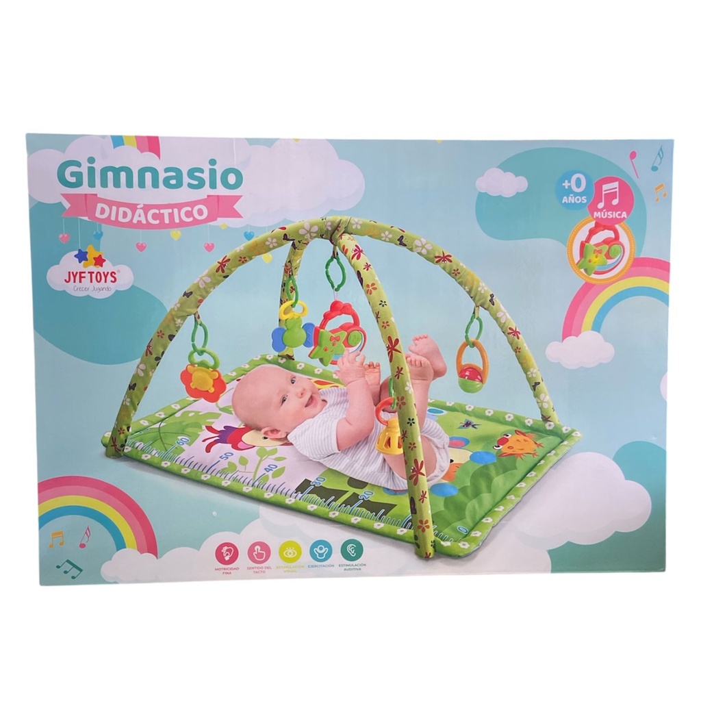 GYM DIDACTICO ALFAMBRA VERDE